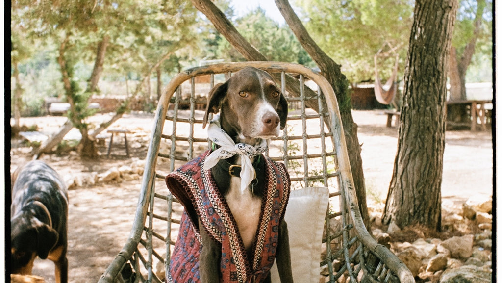 JACKETS & VESTS - Maison Hotel