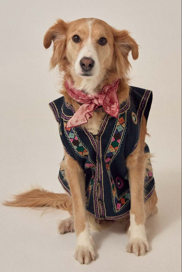 Artemisa Vest